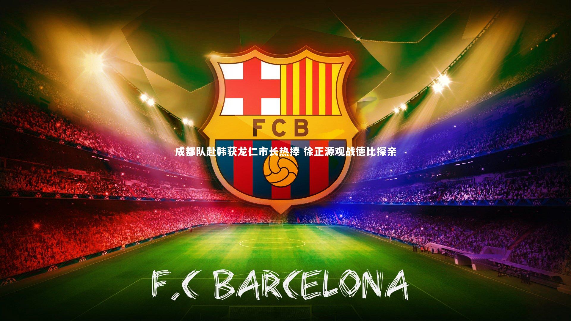 成都队赴韩获龙仁市长热捧 徐正源观战德比探亲