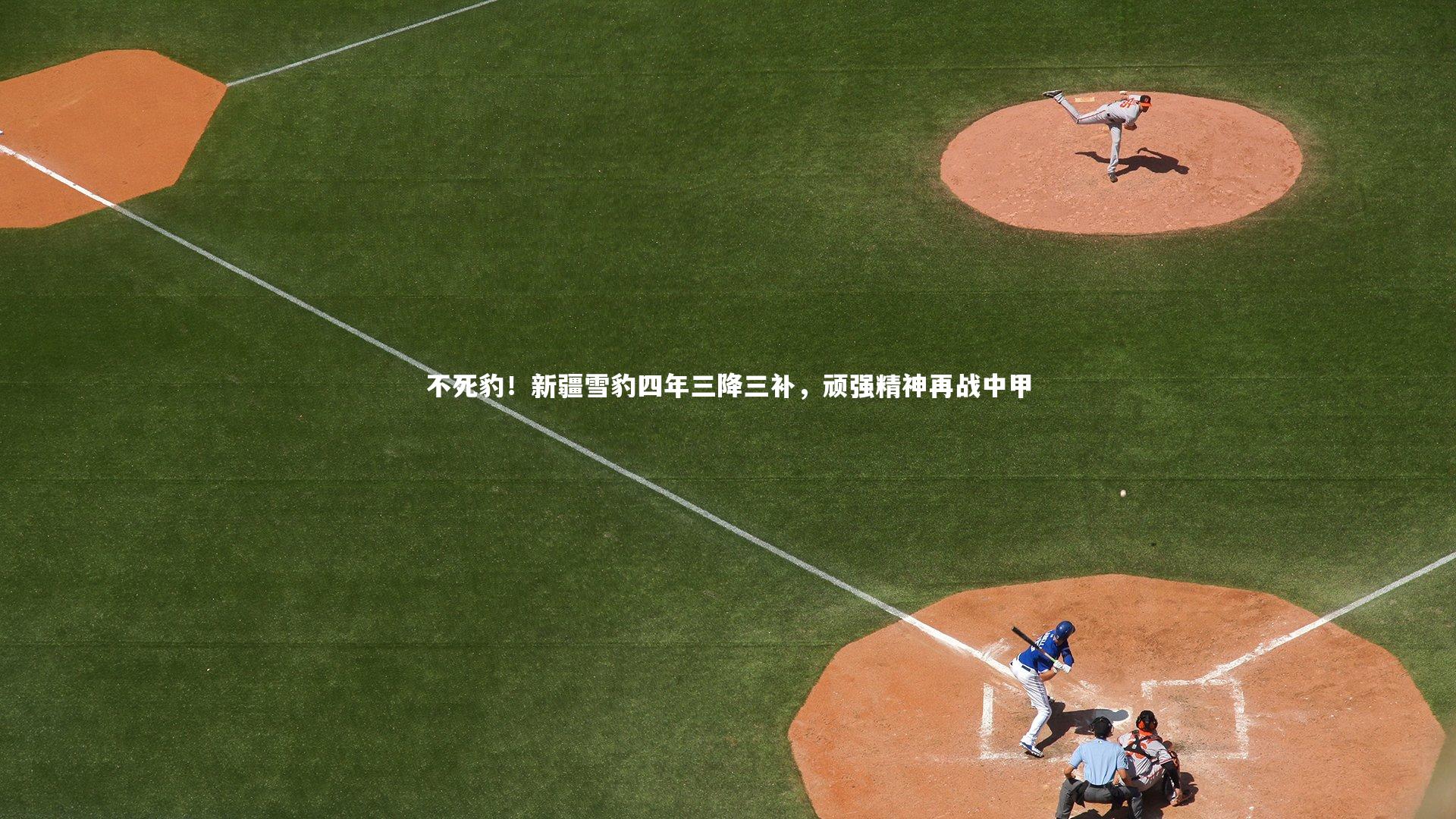 不死豹！新疆雪豹四年三降三补，顽强精神再战中甲